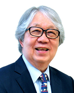 PROFESSOR TOMMY KOH